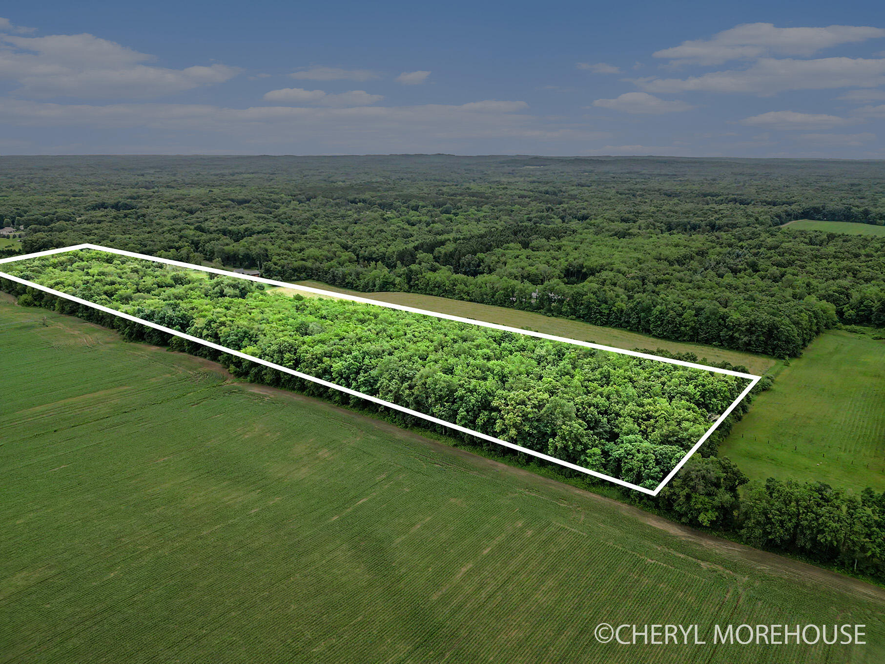 1951 North Norris Road Middleville, MI 49333 - Photo 4 of 30 DJI_0649-Lotline
