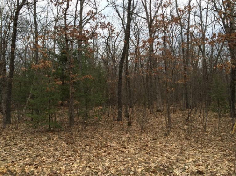 1 South Baker Road Wellston, MI 49689 - Photo 1 of 6 Primary Photo
