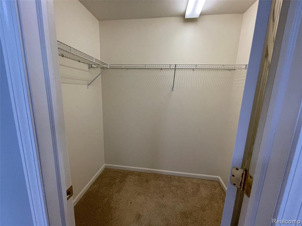 1125 Eureka Road, Unit 206 Wyandotte, MI 48192 - Photo 10 of 13