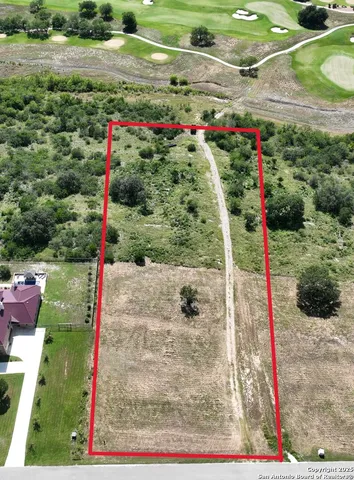 a view of a backyard with plants