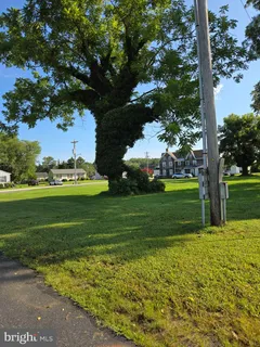 a view of a park with large trees