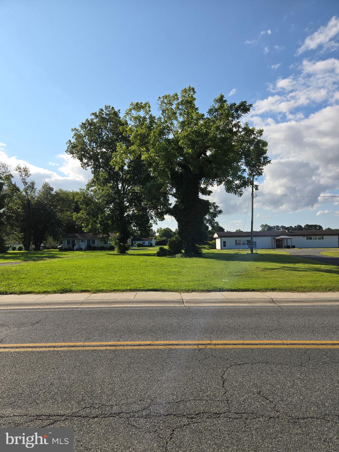 210 Flower Street Berlin, MD 21811 - Photo 5 of 9 a view of a yard