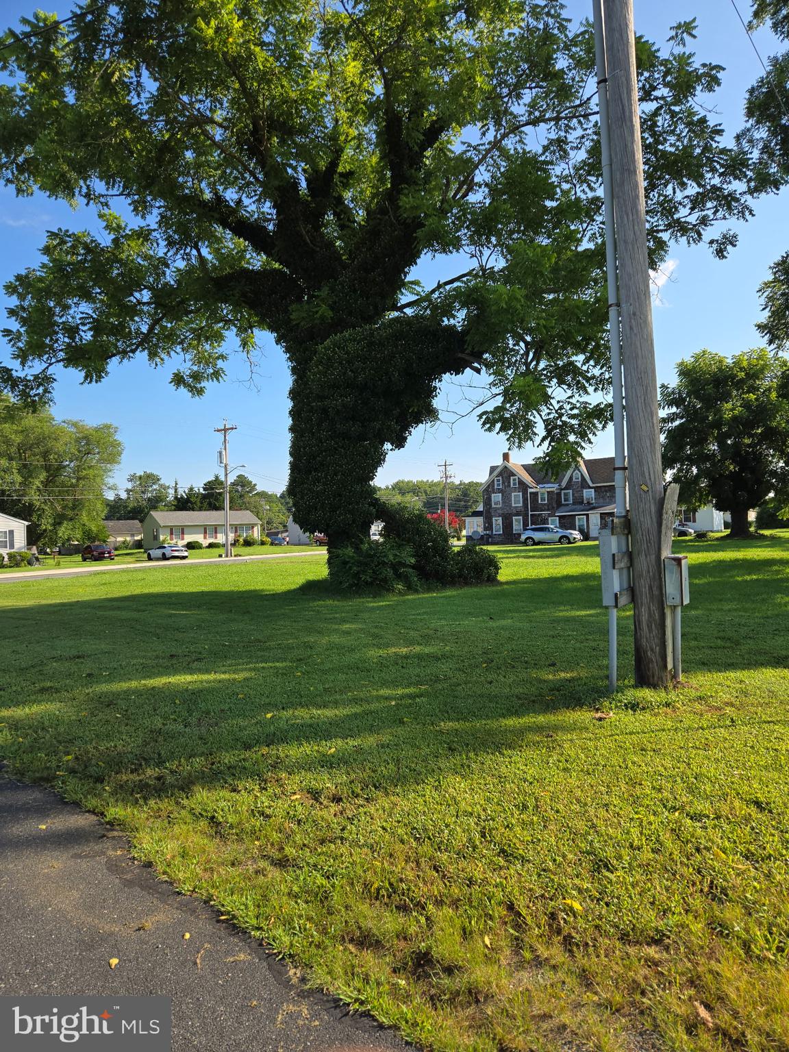 210 Flower Street Berlin, MD 21811 - Photo 7 of 9 a view of a park with large trees