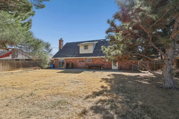 a view of a yard with trees