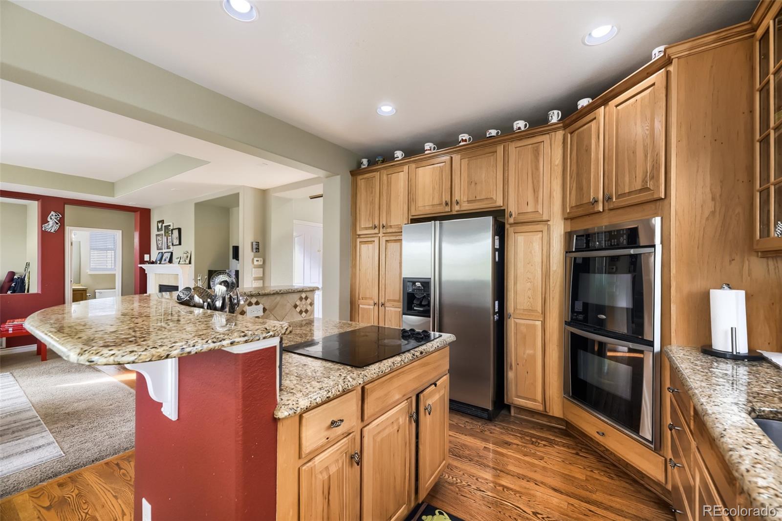 4900 Bluegate Drive Highlands Ranch, CO 80130 - Photo 10 of 25