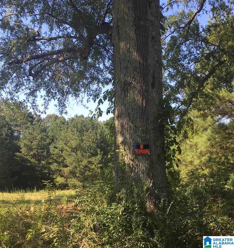 0 Duck Springs Road, Unit 2 PARCELS Attalla, AL 35954 - Photo 7 of 24