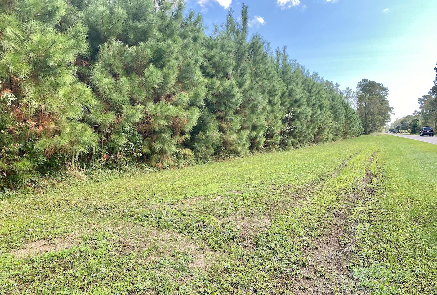 75 Emerson Bay Road Carolina Shores, NC 28467 - Photo 4 of 6 Persimmons