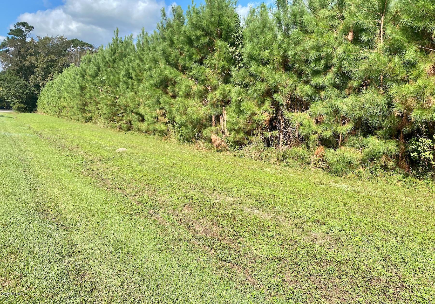 75 Emerson Bay Road Carolina Shores, NC 28467 - Photo 6 of 6 Persimmons