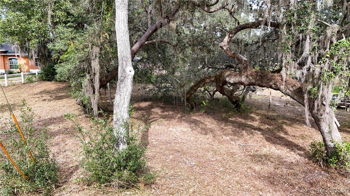 7857 East Wisp Trail Inverness, FL 34453 - Photo 5 of 26
