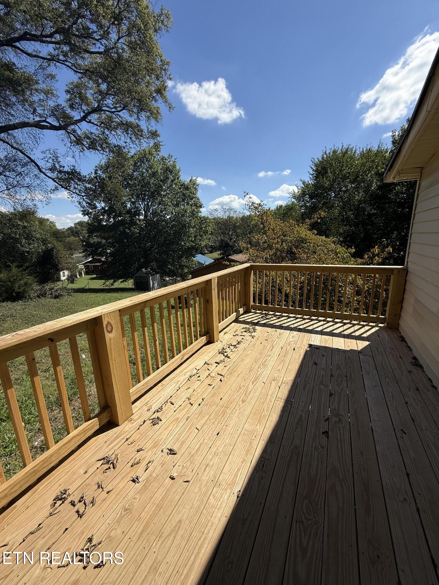 910 Reed Street Knoxville, TN 37921 - Photo 3 of 21 IMG_9742