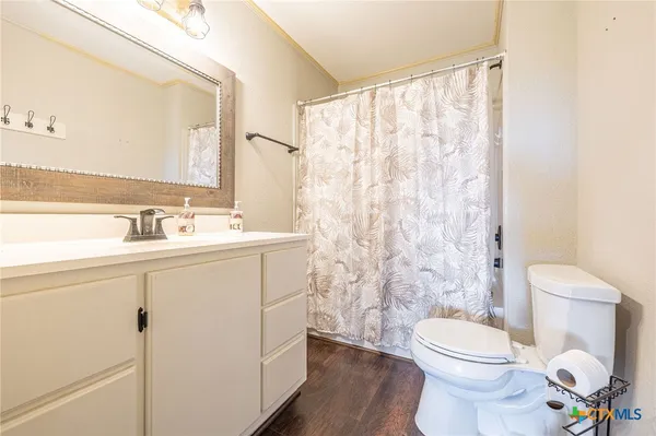 a bathroom with a sink a toilet a mirror and shower curtain