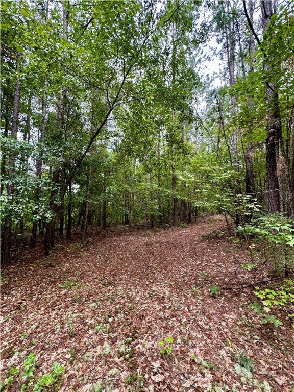 1400 Glassy Mill Road Opelika, AL 36804 - Photo 7 of 10 Gallery Image 7
