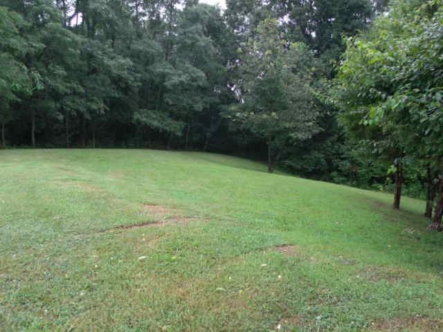 292 Pea Ridge Road Stamping Ground, KY 40379 - Photo 58 of 86 Photo 59