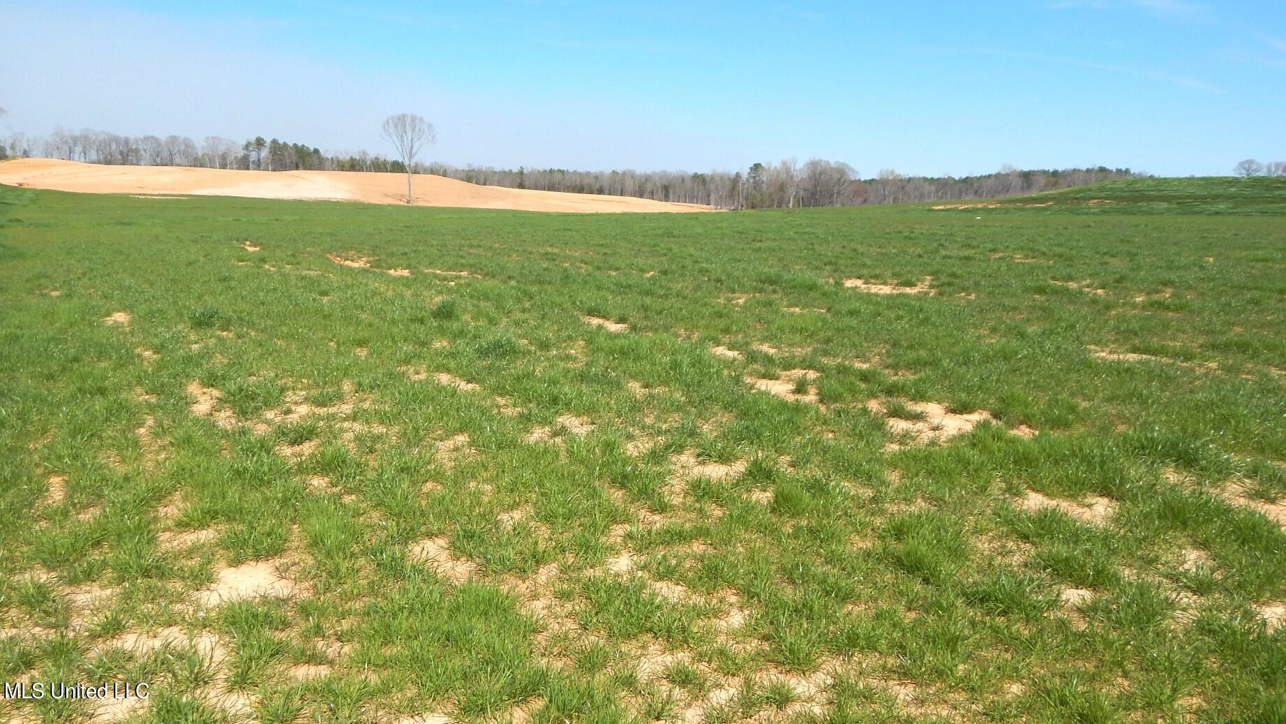 8 Graysport Crossing Road Gore Springs, MS 38929 - Photo 2 of 8 DSCN4951