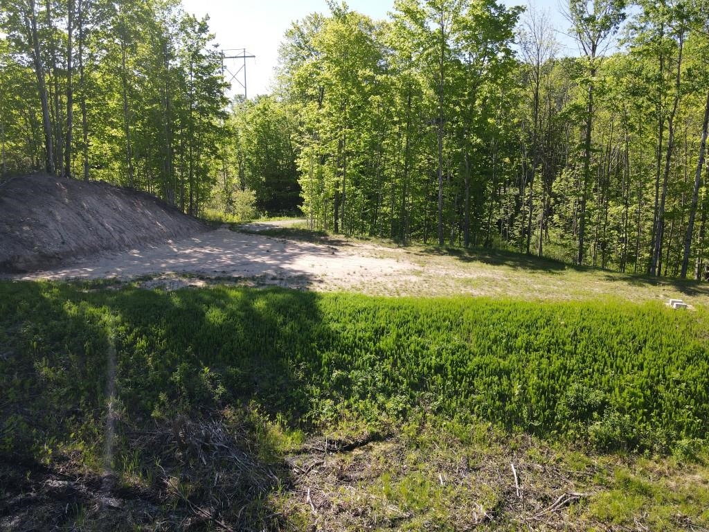 Tbd Pesek Road East Jordan, MI 49727 - Photo 19 of 28