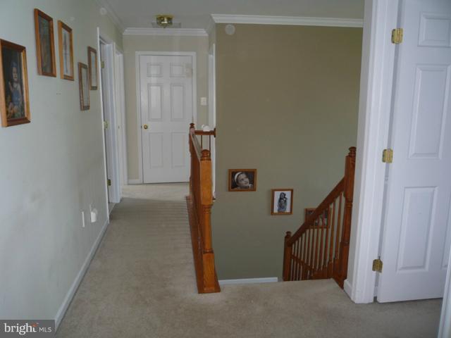 Interior (General)