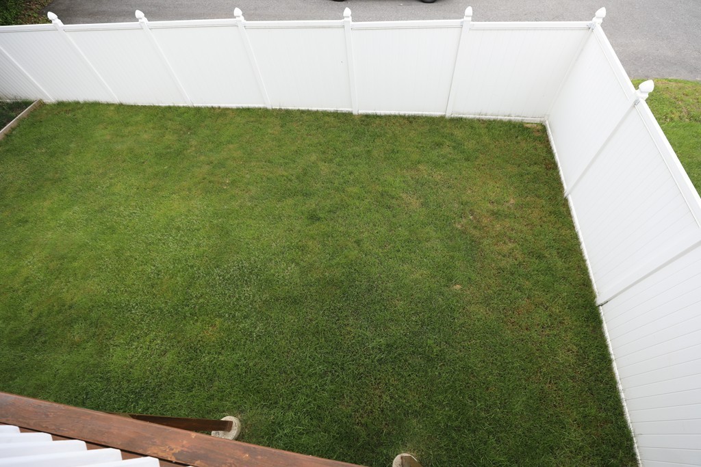 167 Orient Street Worcester, MA 01604 - Photo 7 of 29 a view of a yard