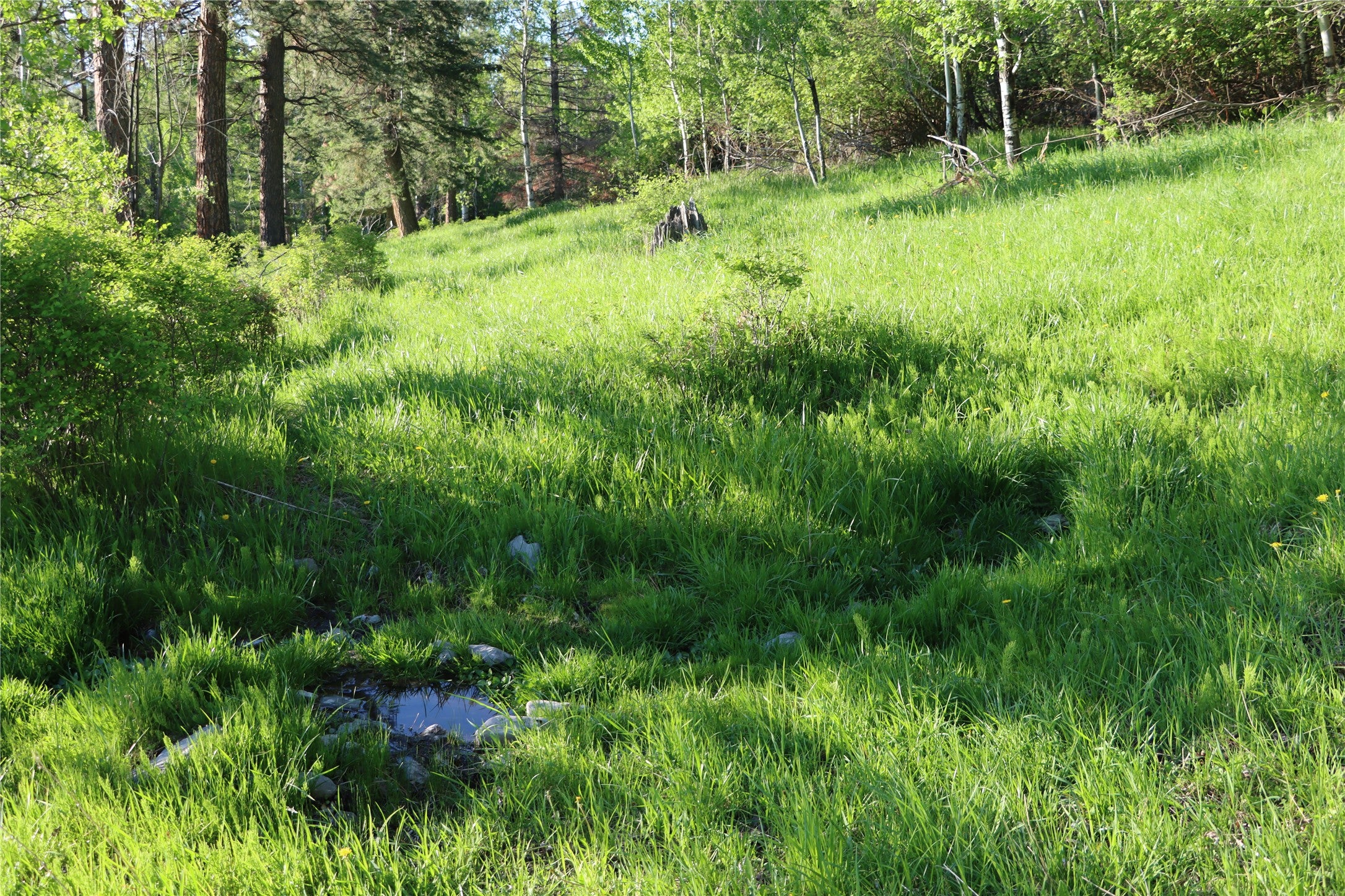 41694 Canal Road Ronan, MT 59864 - Photo 22 of 69 Gallery Image 22