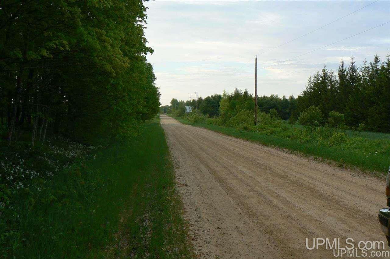 Tbd Benson 53 Acres Road Chatham, MI 49816 - Photo 2 of 10