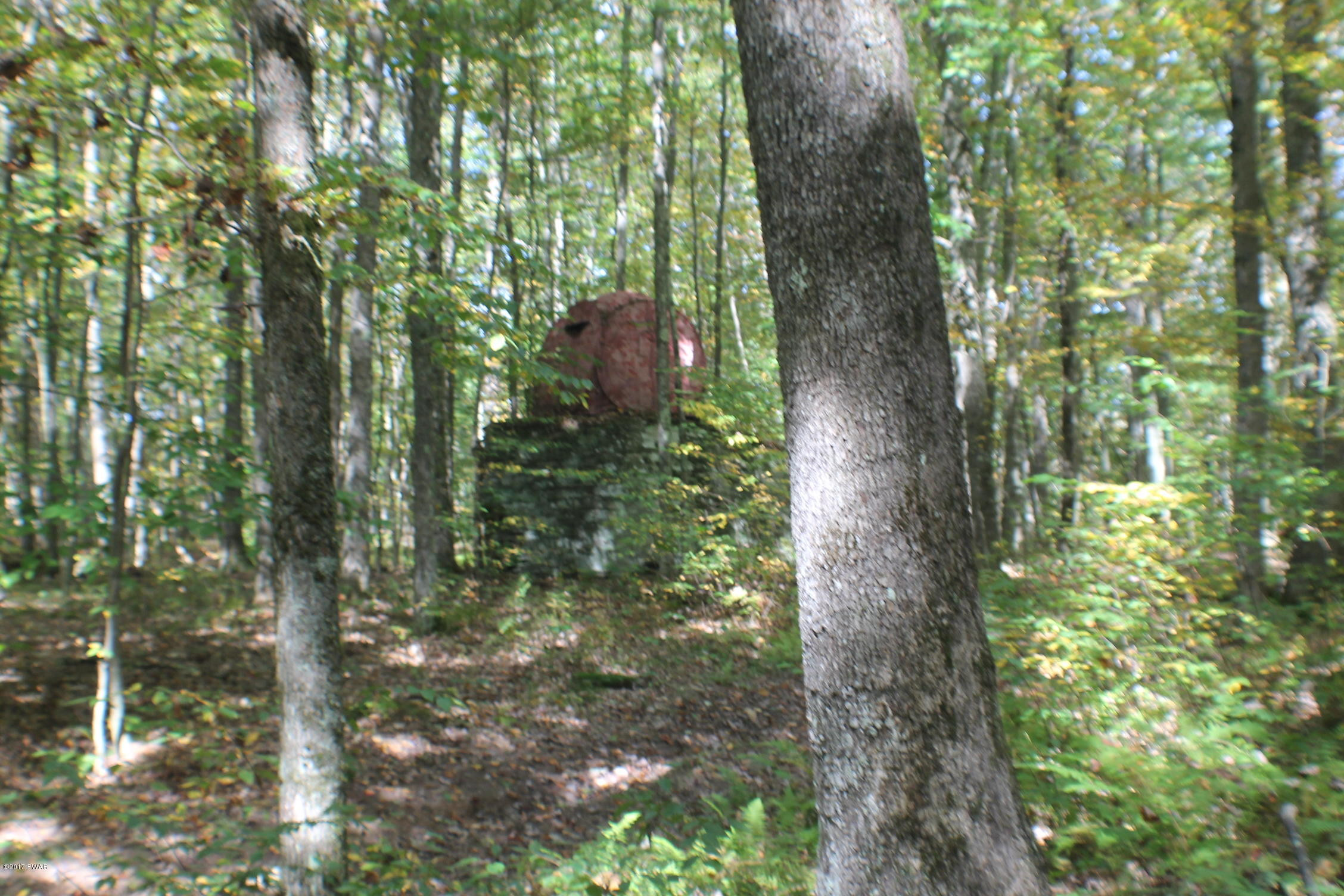 Lordville Road Road Hancock, NY 13783 - Photo 4 of 7