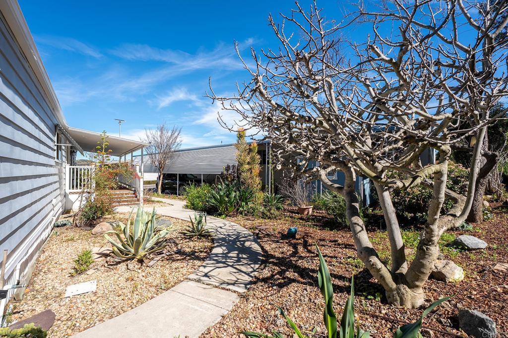 7467 Mission Gorge Road, Unit SPC 81 Santee, CA 92071 - Photo 34 of 36 a view of a backyard with a tree
