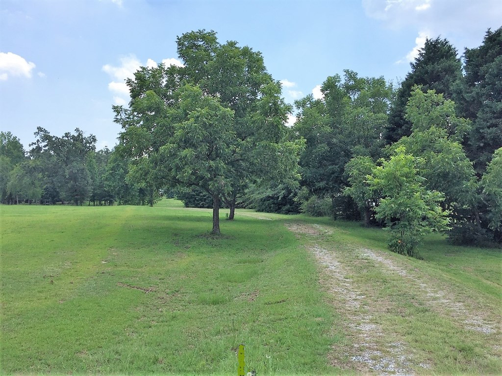 2030 Gray Mare Hollow Road Aiken, SC 29803 - Photo 2 of 7