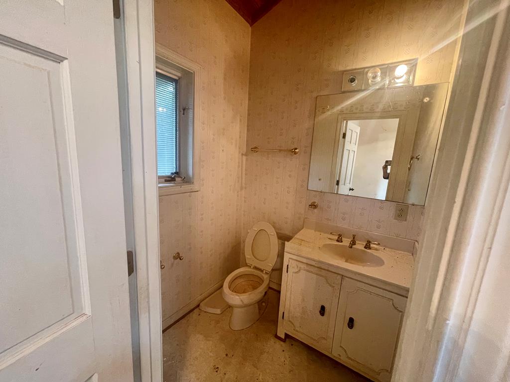 574 Old Chipley Road Pine Mountain, GA 31822 - Photo 48 of 61 a bathroom with a sink mirror vanity and toilet