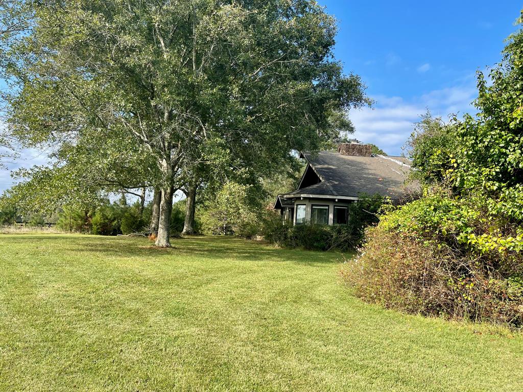 574 Old Chipley Road Pine Mountain, GA 31822 - Photo 52 of 61 Yard