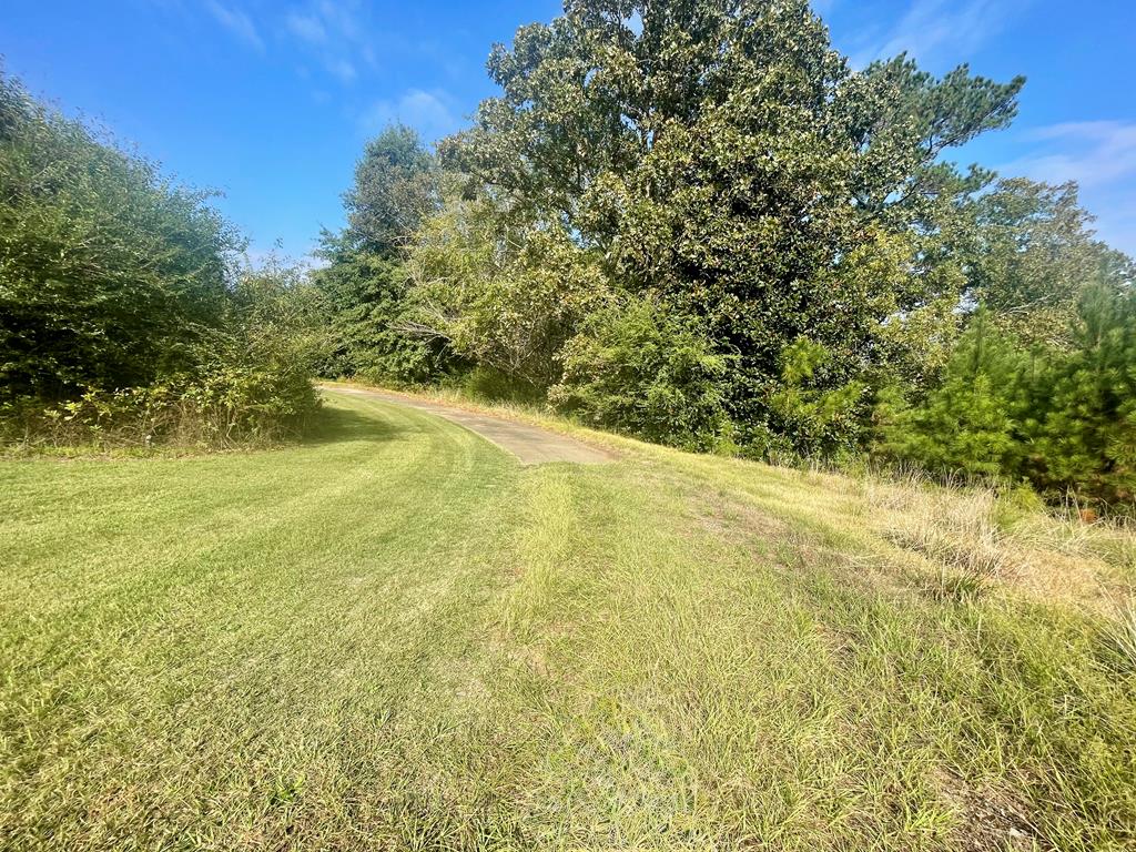 574 Old Chipley Road Pine Mountain, GA 31822 - Photo 59 of 61 a view of a yard with a tree