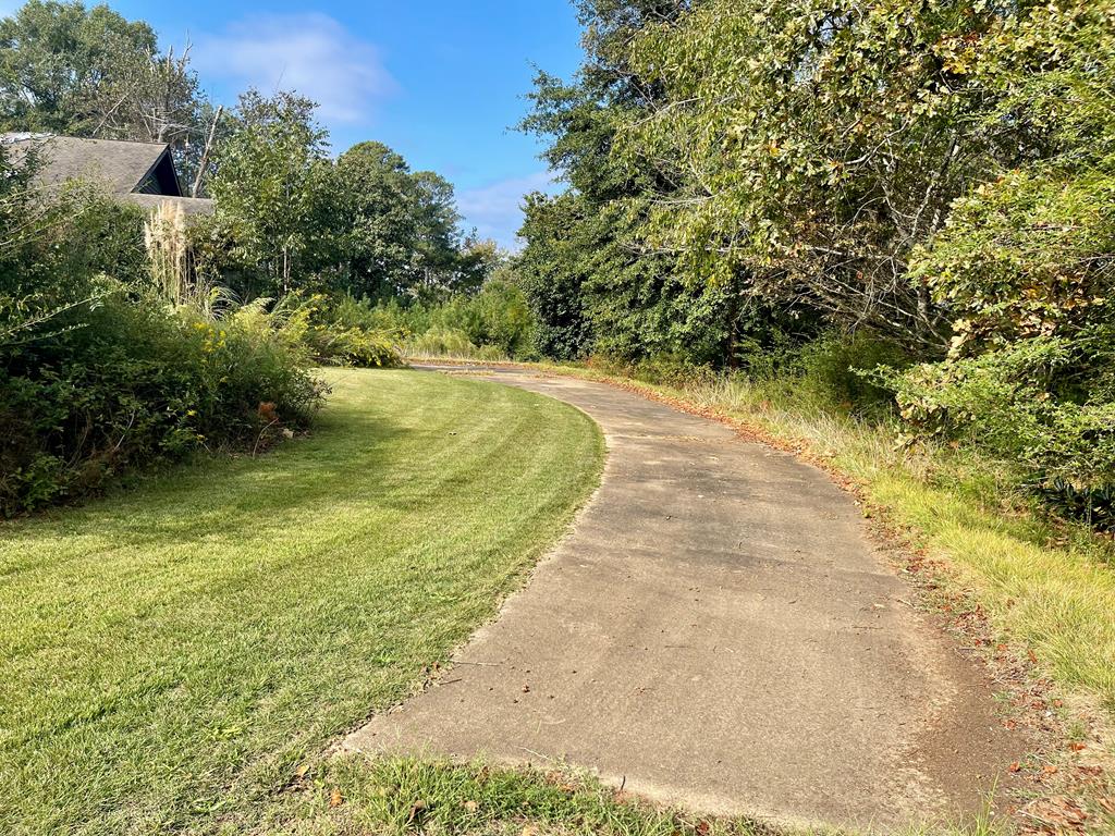 574 Old Chipley Road Pine Mountain, GA 31822 - Photo 60 of 61 a view of a yard with a trees
