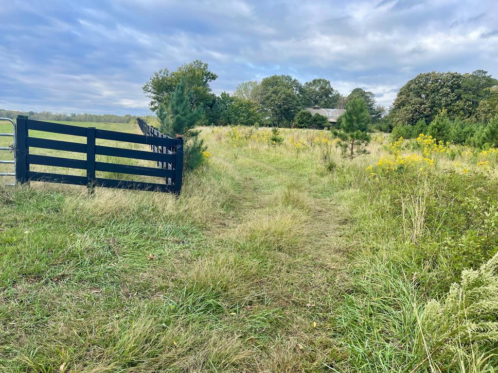 574 Old Chipley Road Pine Mountain, GA 31822 - Photo 61 of 61