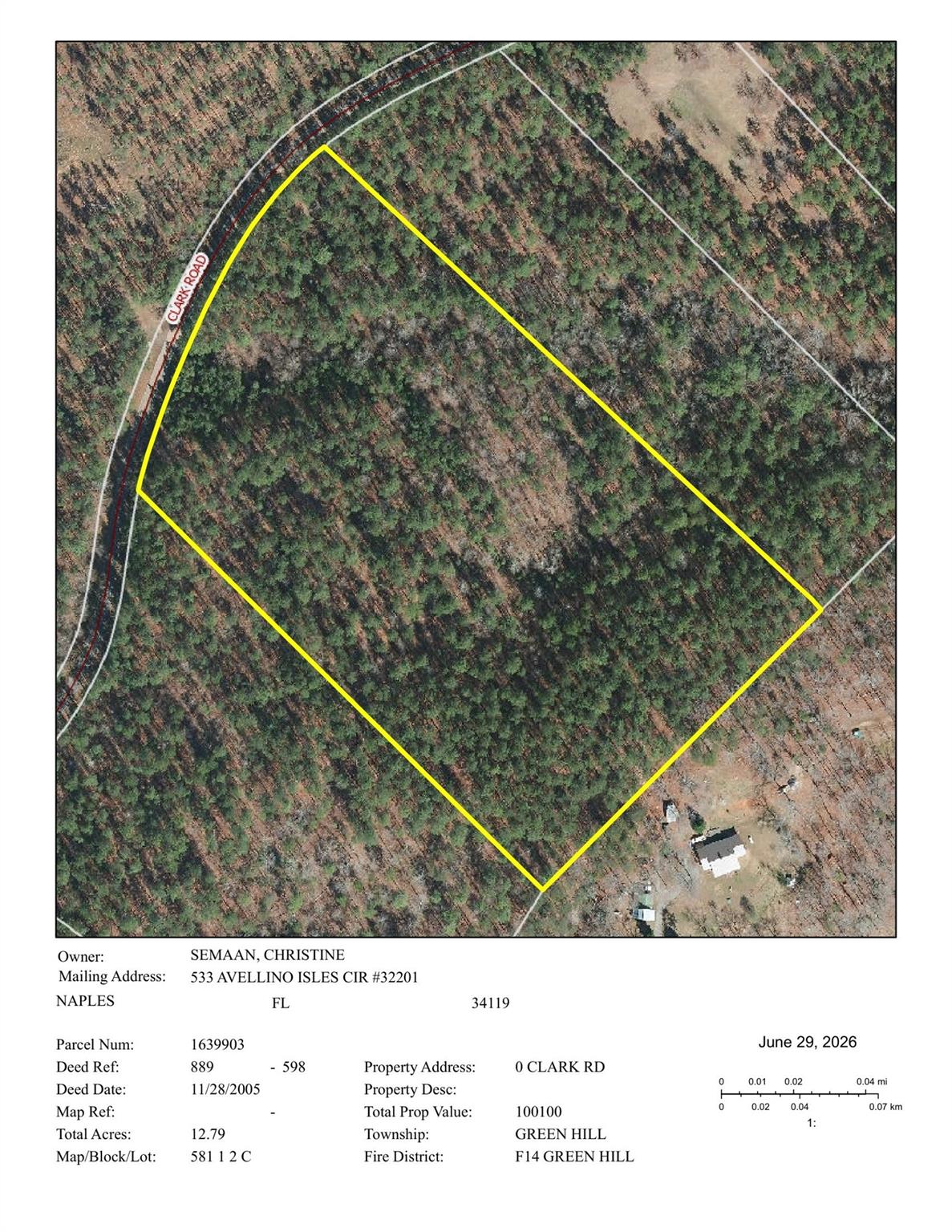 9999 Clark Road Rutherfordton, NC 28139 - Photo 16 of 19