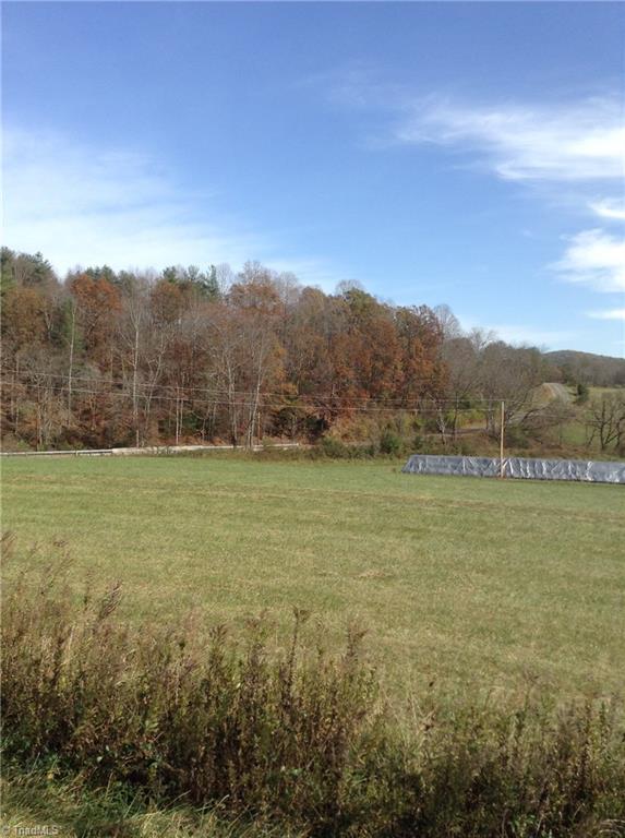 1 Mears Road Mount Airy, NC 27030 - Photo 3 of 12 View from Brim Rd. See Property listed with mature trees sloping down to creek ( back side of property).