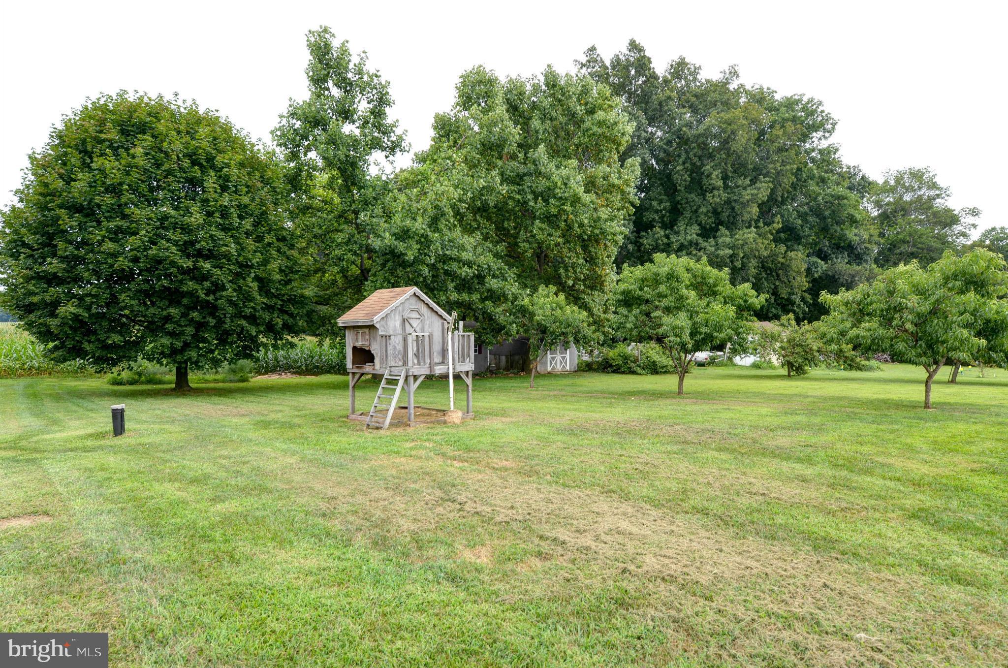 431 Wilson Road Rising Sun, MD 21911 - Photo 20 of 27 Exterior (Rear)