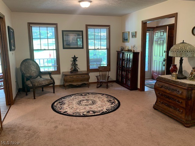 142 Whippoorwill Ridge Road Waverly, WV 26184 - Photo 10 of 29