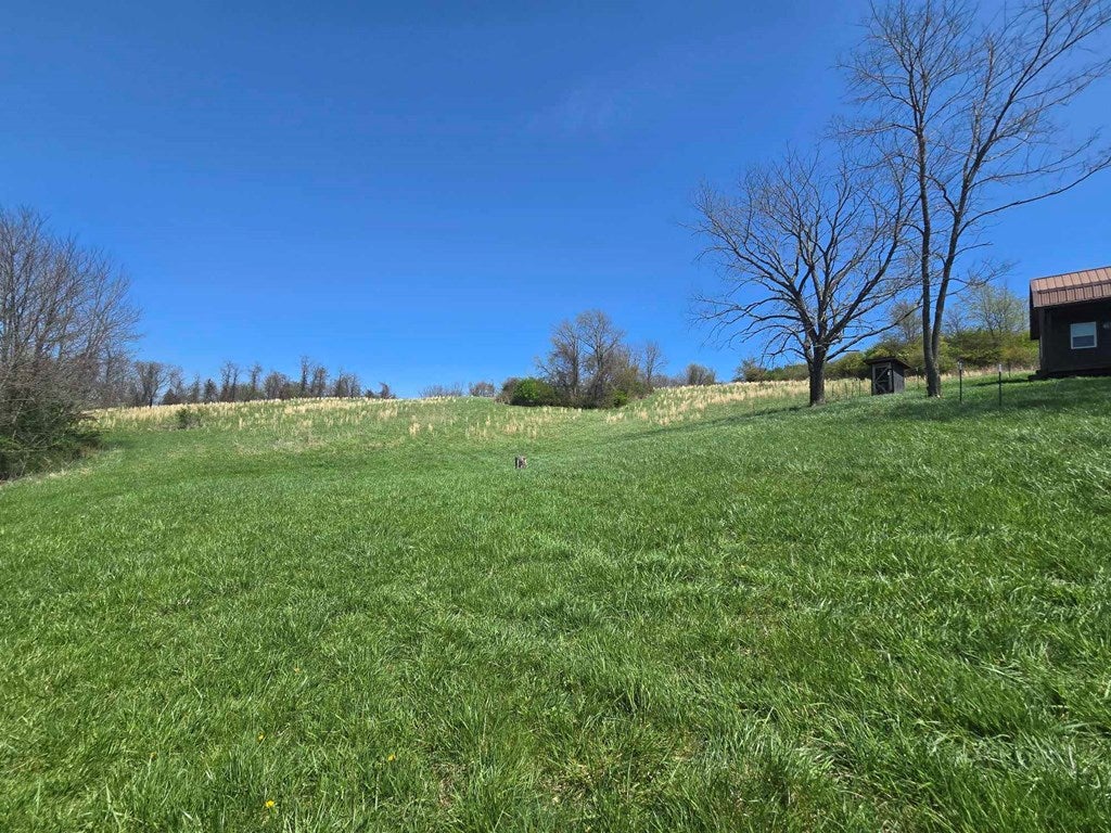 Tbd Crab Orchard Road Tazewell, VA 24651 - Photo 9 of 21 Gallery Image 9