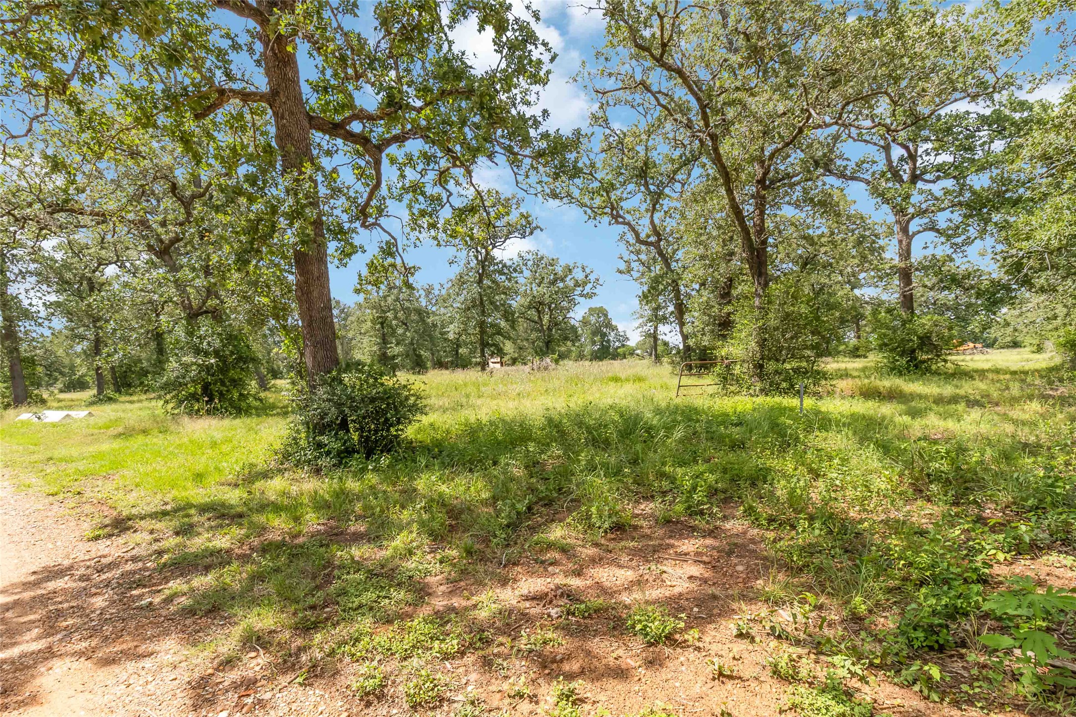 1208 Jeddo Road Rosanky, TX 78953 - Photo 38 of 40 A verdant, open lot framed by mature trees offers a serene natural setting.