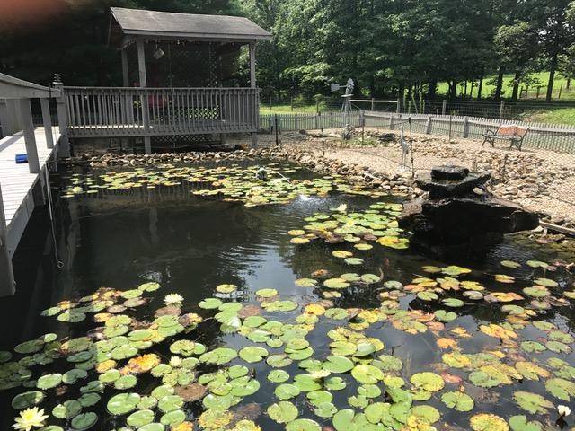 4081 Grove Church Road Gambier, OH 43022 - Photo 14 of 39 Gallery Image 14