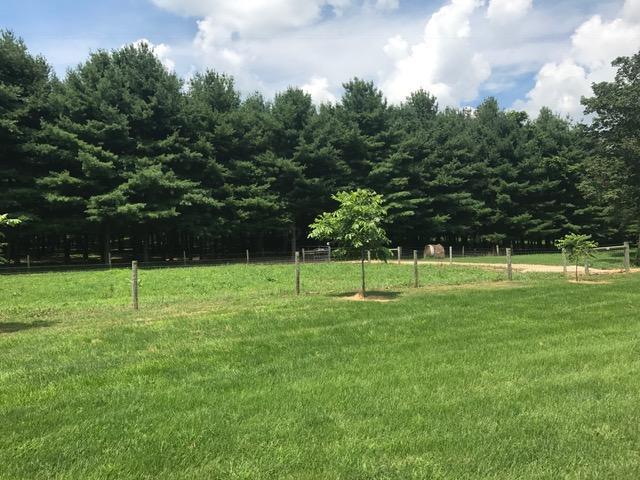 4081 Grove Church Road Gambier, OH 43022 - Photo 5 of 39 Gallery Image 5