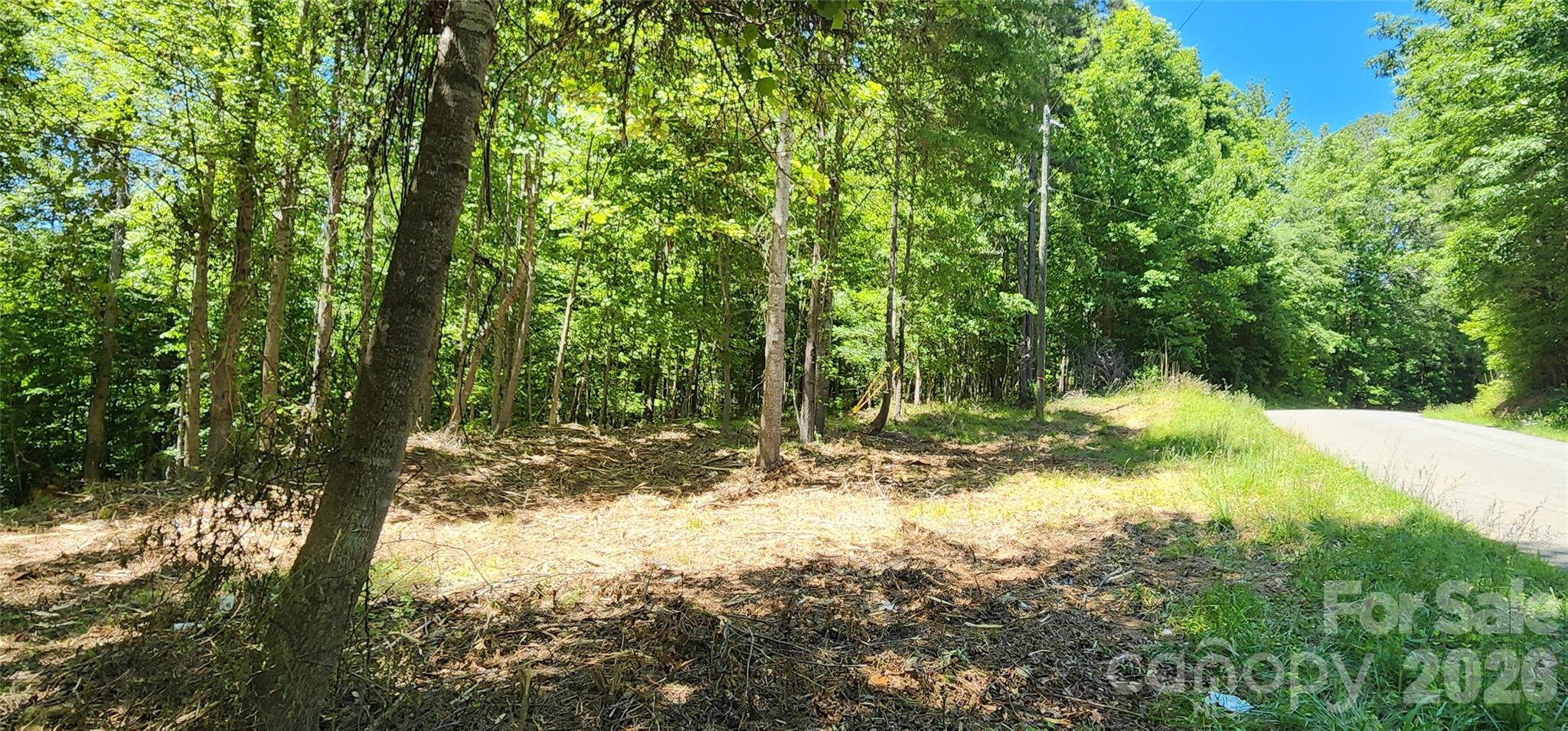 480 Brown Road Spartanburg, SC 29302 - Photo 29 of 47 a view of a yard with trees