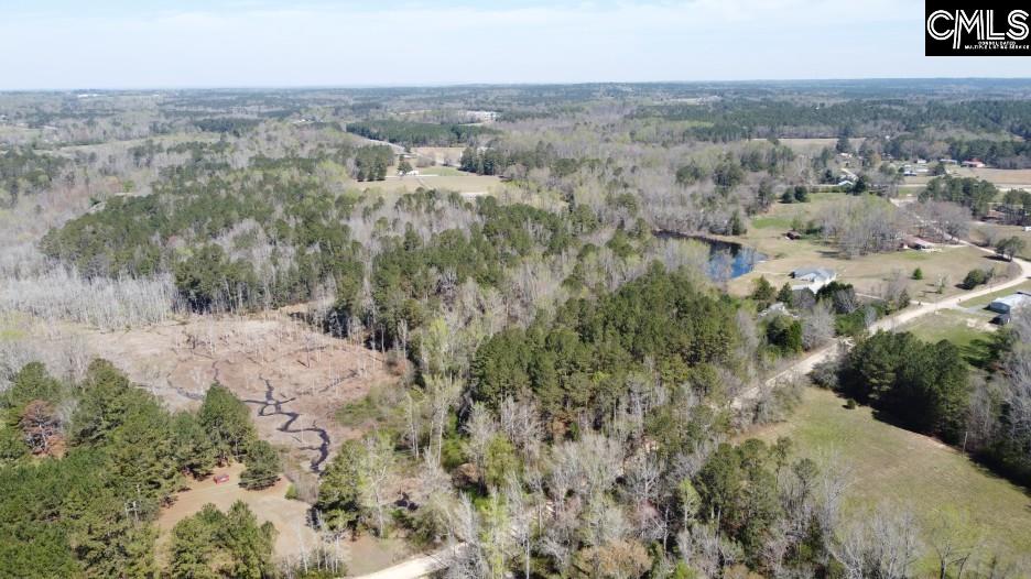 1672 Dixired Road Leesville, SC 29070 - Photo 46 of 67