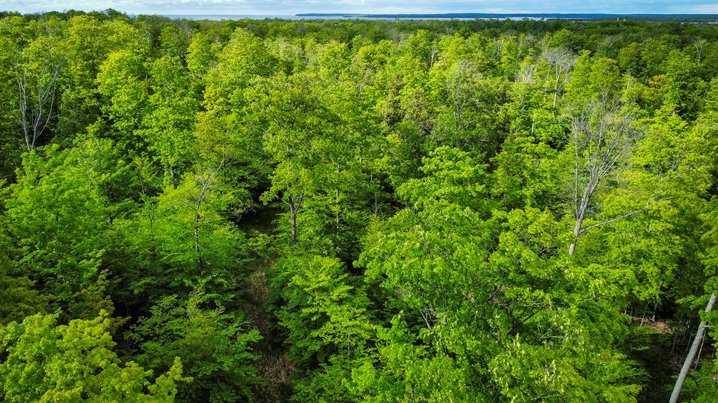 Tbd Lot4 Isle View Road Ellison Bay, WI 54210 - Photo 6 of 20