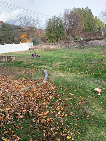 a view of a field of grass and trees