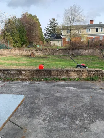 a view of a park with large trees