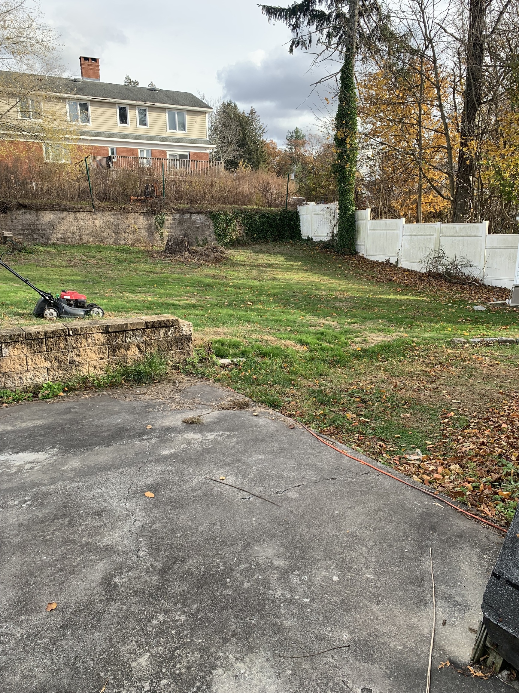 6 Norway Road North Haven, CT 06473 - Photo 7 of 15 a view of a field with large trees