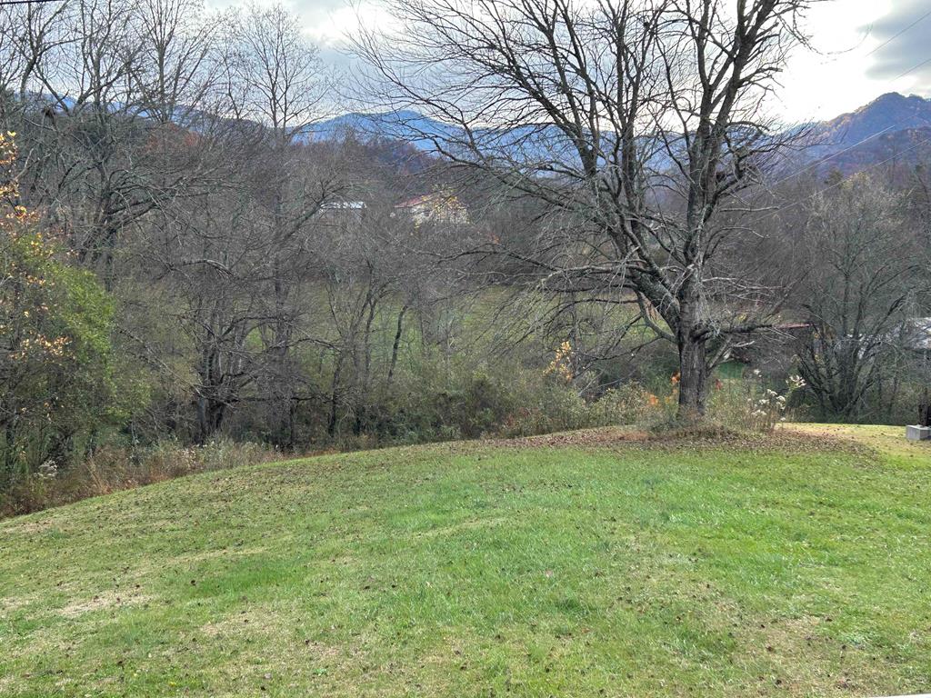 136 West Vineyard Road Hayesville, NC 28904 - Photo 15 of 19
