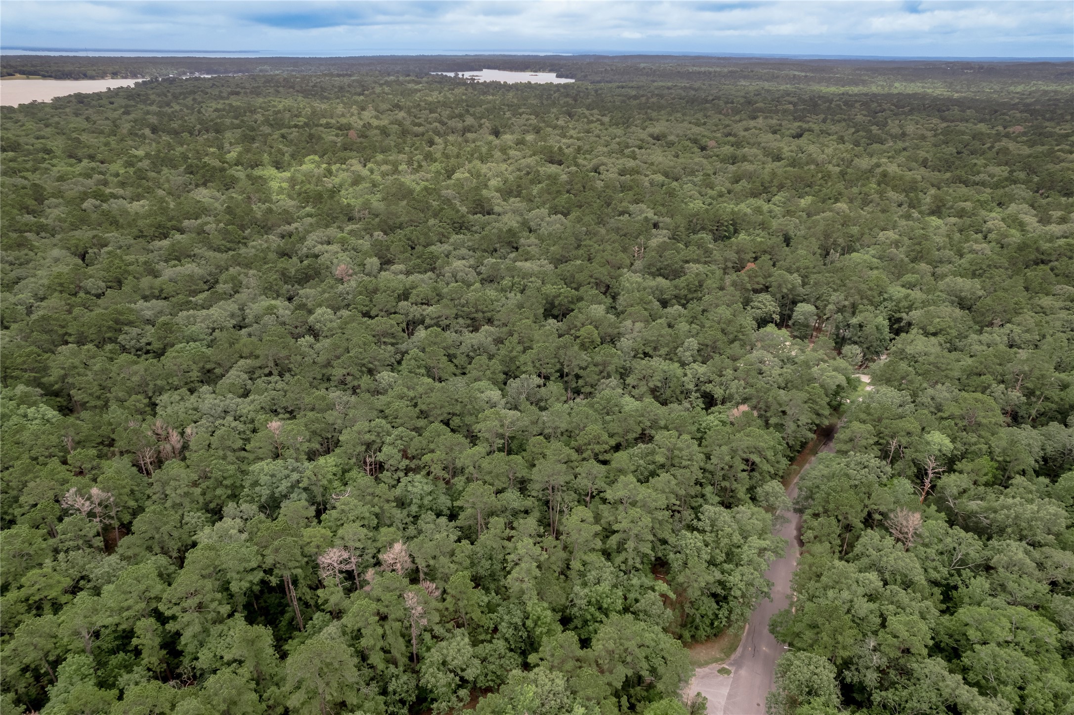 Lot 9 Rohm Place Point Blank, TX 77364 - Photo 19 of 26