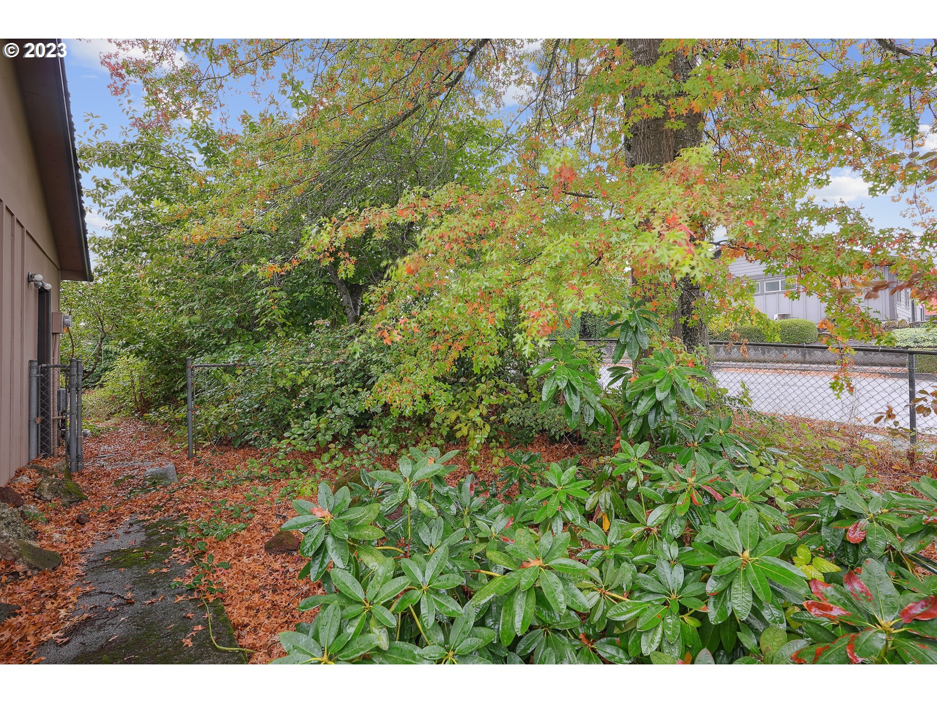 2295 Northeast Juniper Avenue Gresham, OR 97030 - Photo 23 of 25 a view of a bunch of trees and bushes