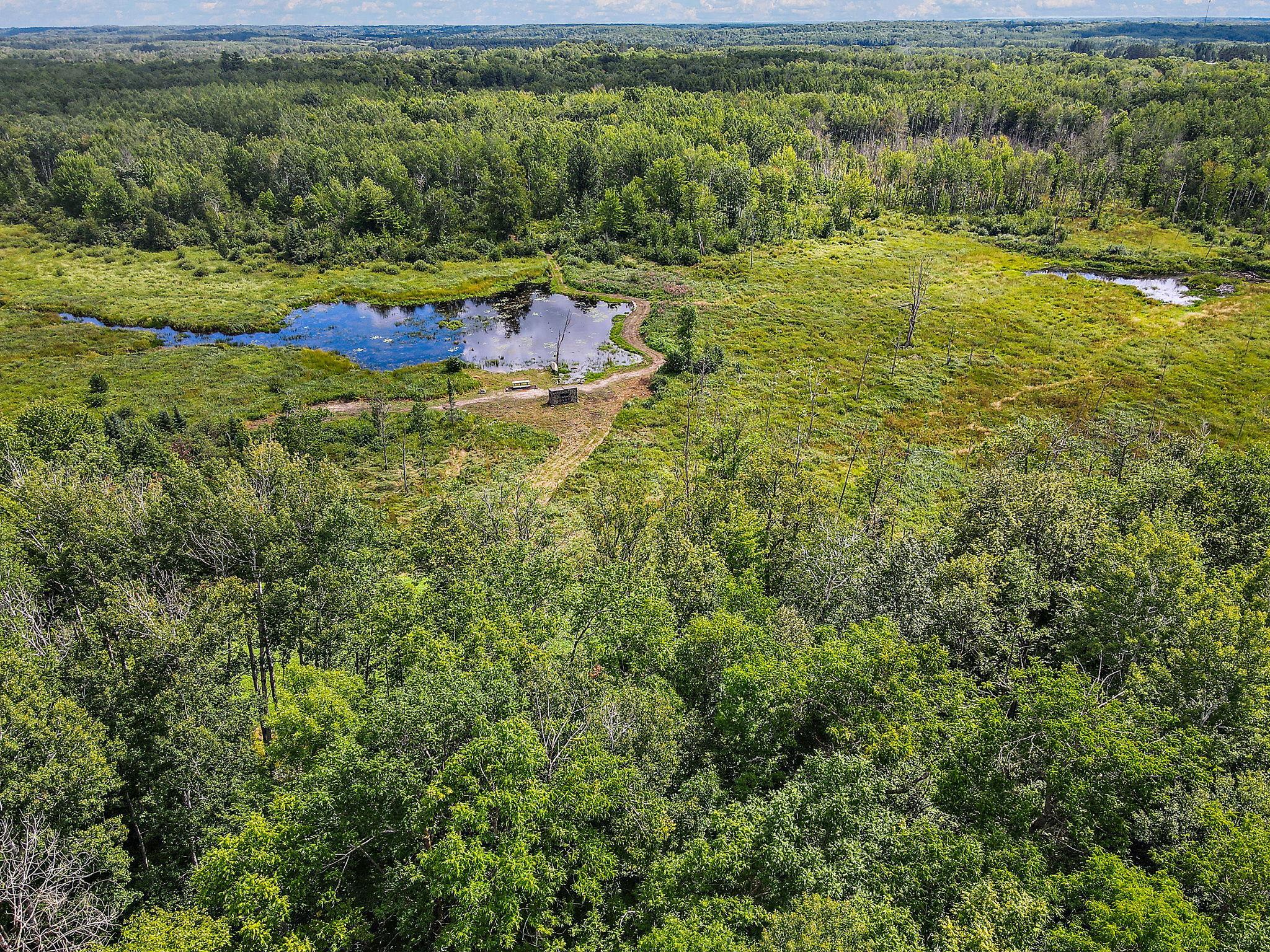 4030 North Road Moose Lake, MN 55767 - Photo 16 of 75