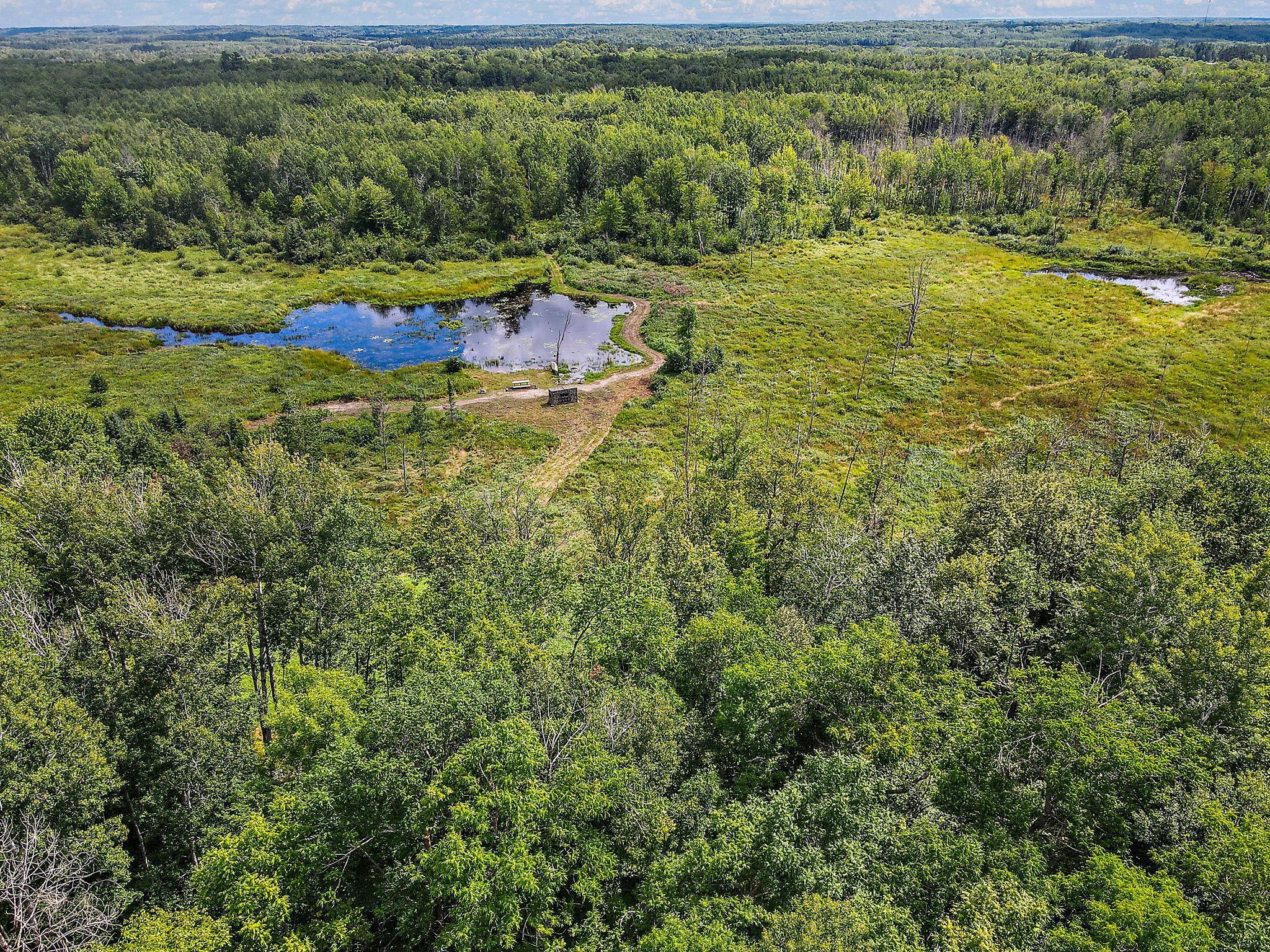4030 North Road Moose Lake, MN 55767 - Photo 16 of 75